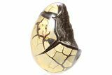 Septarian Dragon Egg Geode - Black Crystals #267341-1